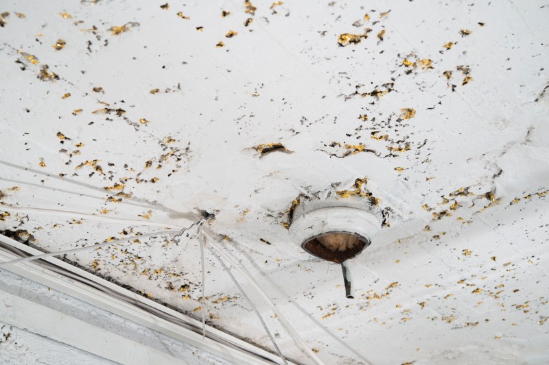 Erna El°nbjîrg Sk£lad¢ttir_Timelines_DSC5136