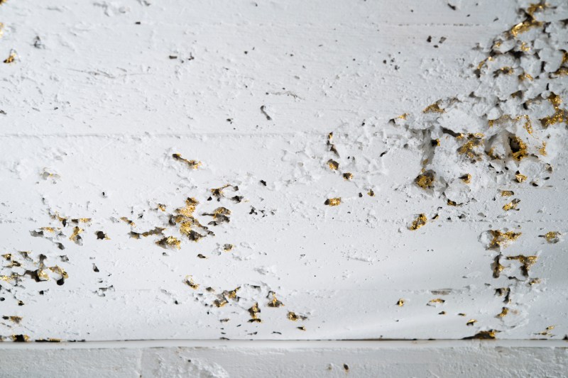 Erna El°nbjîrg Sk£lad¢ttir_Timelines_DSC5139