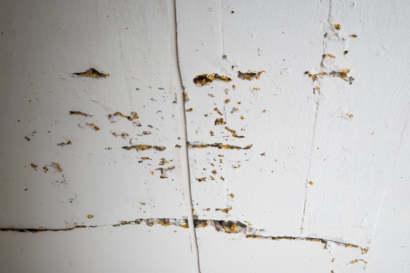 Erna El°nbjîrg Sk£lad¢ttir_Timelines_DSC5146