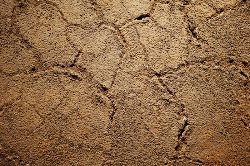 skuladottir_erna_circulation-2016-detail1