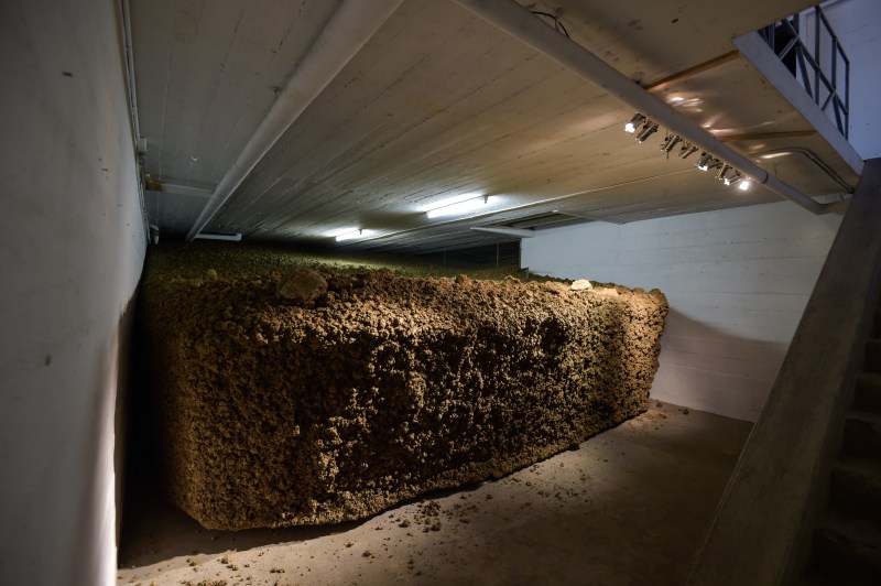 PCC2017-Inundation-Blomgren-Skuladottir©Fondtion_Bruckner (9)